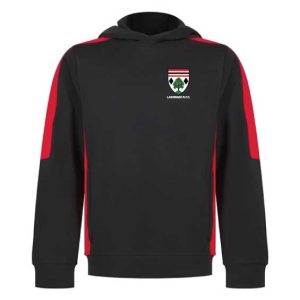 Minis New Hoody 2026